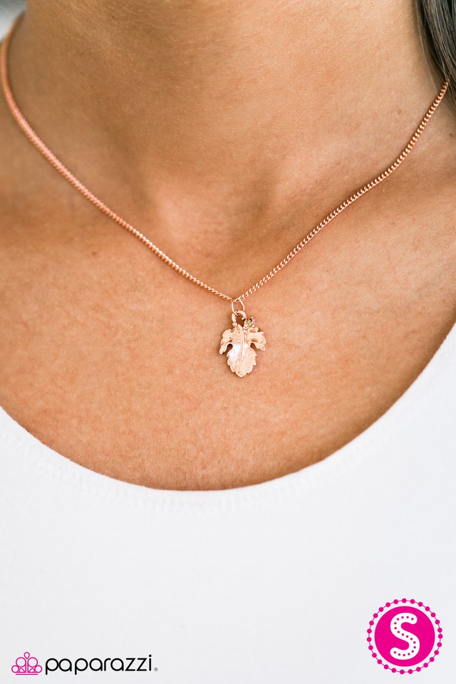 Ing Jewelry From Home The Best Photo Vidhayaksansad Org Paparazzi Accessories Leaf Ing Home Copper