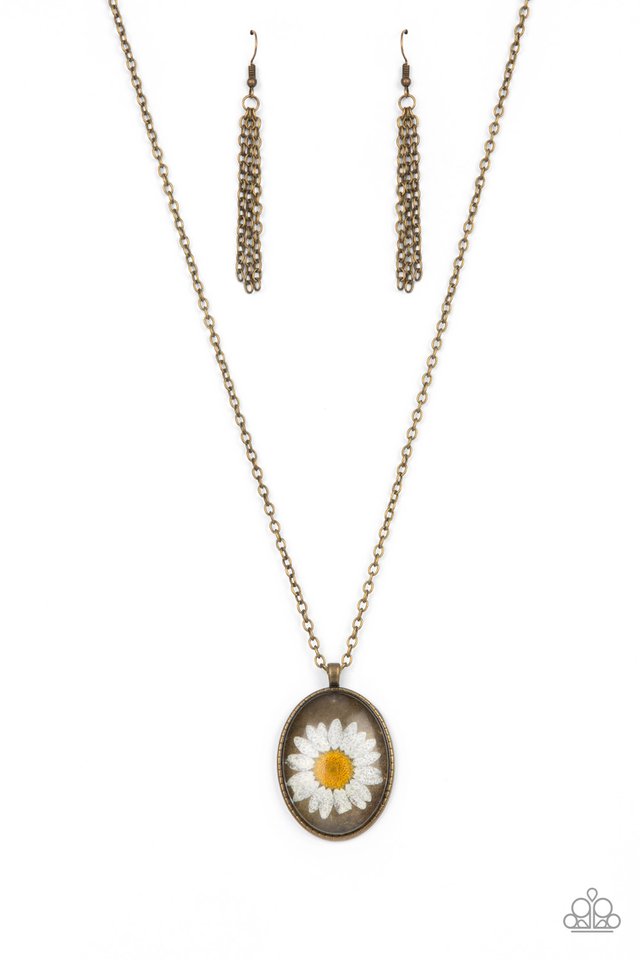 ​Prairie Passion - Brass - Paparazzi Necklace Image